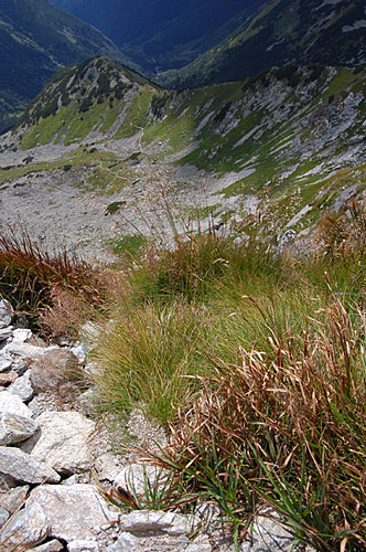 Tatry #1