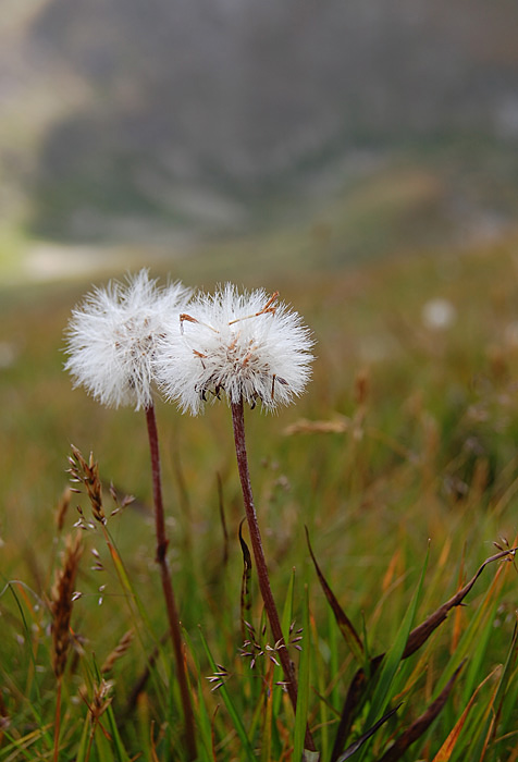 Tatry #2