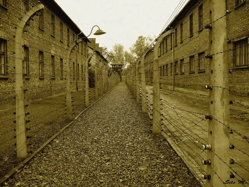 Osvětim