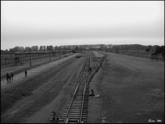 Birkenau