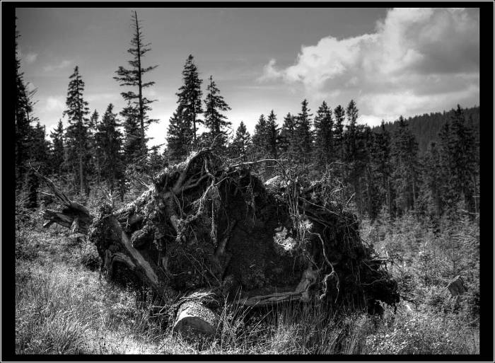 Šumava oujéééé)