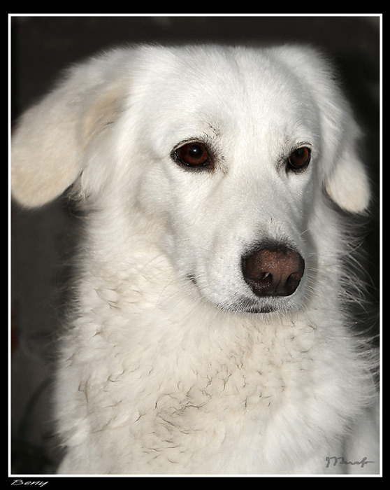 Beny