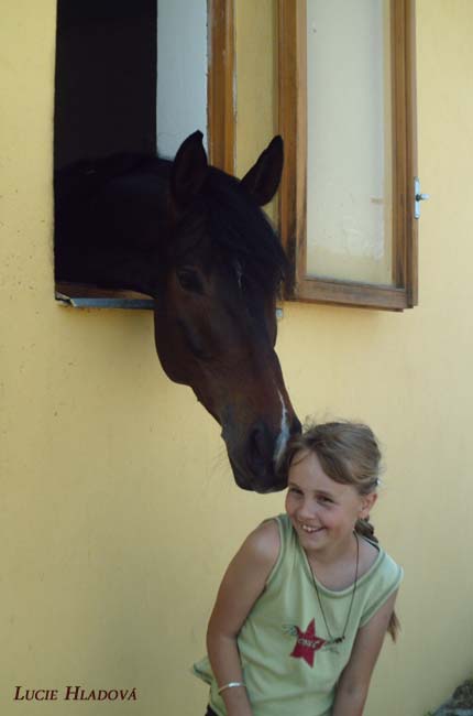 Přátelství na první pohled