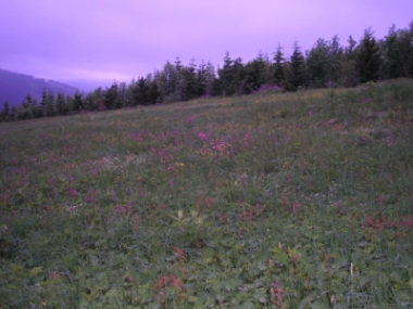 Krkonoše
