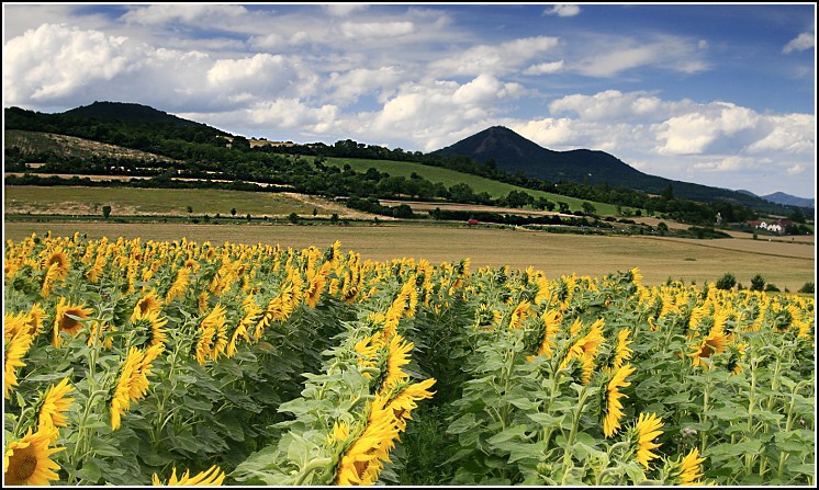 Lovoš.