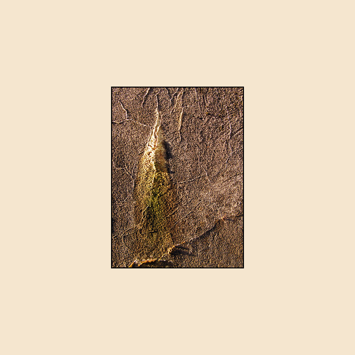 Hermit