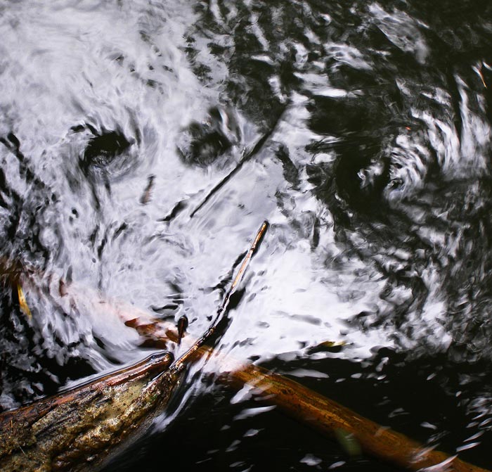 Měj se u vody na pozoru...