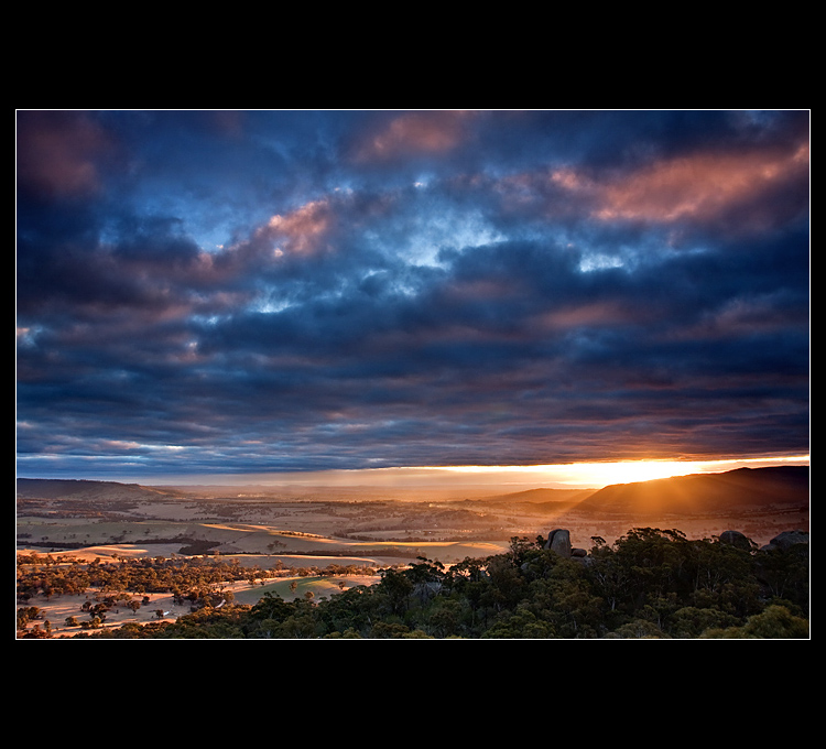 ~ Evans Crown Reserve ~