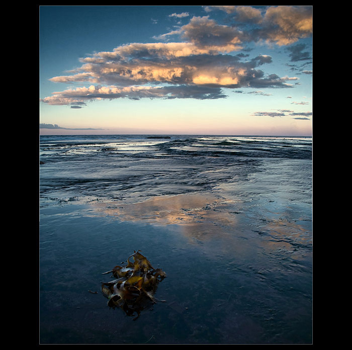 Mona Vale Beach