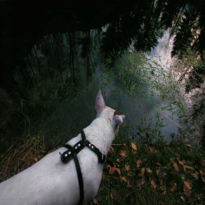 Letní iluze ve středu