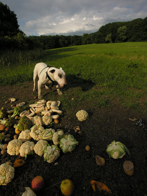 Letní iluze ve středu
