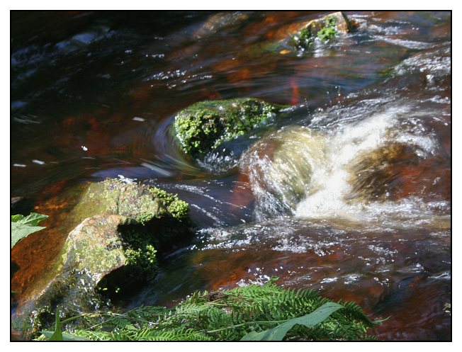 Bublavý potok na Rejvízu