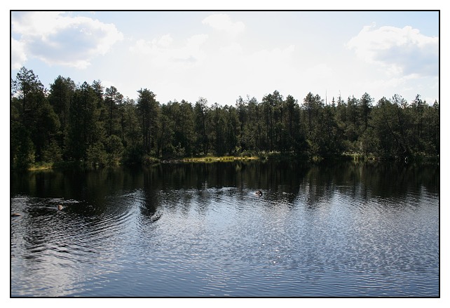 Velké mechové jezírko na Rejvízu