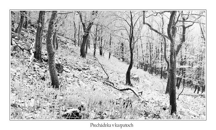 Prechádzka v karpatoch