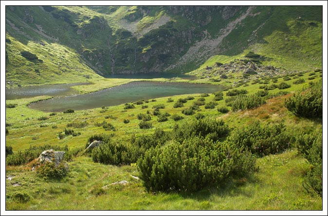 Poledovcová krajina