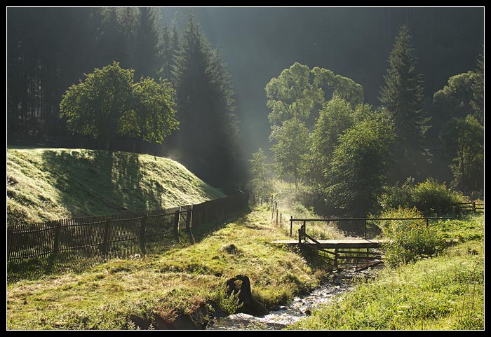 Ráno u potoka