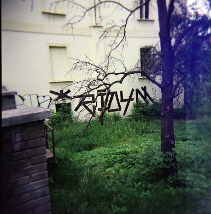 in yer backyard, nigga