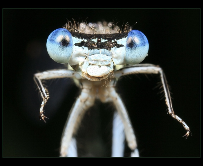 Potřesem si pravicí?