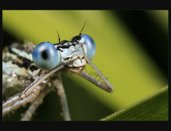 Jééé, co to tu mám?