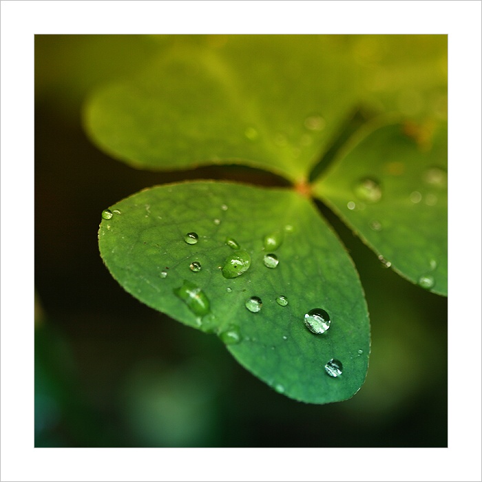 *** Pro štěstí ***