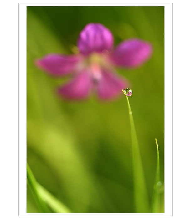 *** Kouzelná ... ***