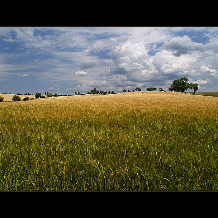 ***MŮJ OBLÍBENÝ KOUT***