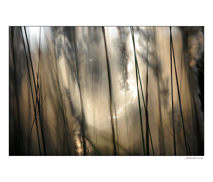 ...so slnkom v trave...