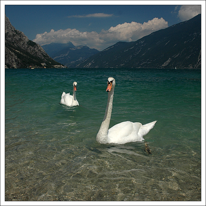 Lago di Garda