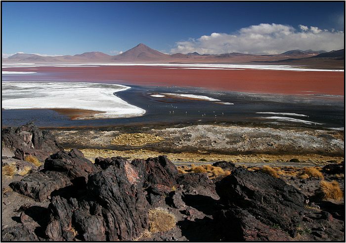 Laguna Colorada