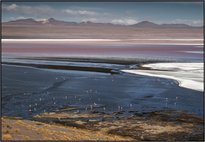 Laguna Colorada  III.