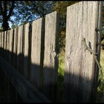 ...jednou ze mě taky bude kůl v plotě...