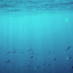 Jiný svět nebarevný