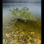 "...ker mi dere tvar", "min ten ker!"