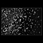 Vlhká rajčina 01 čb