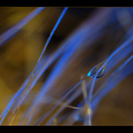 Ve snech ukrytá 4 ...