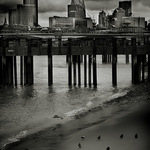 Londýn pátého dne po vyhubení lidstva