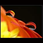 S oblaky v zádech..