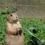 Tak máš to?Rád bych dojedl.