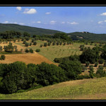 Toscano