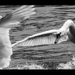 dobehnem Ta,mne neutecies...