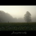 Jarní jitřní mlhy