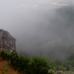 v mlze I.