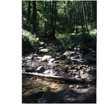 Potůček v Beskydech