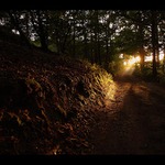 svetlo na konci tunelu