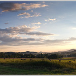 Z večerní procházky.