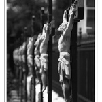 Impresses Of Human Being