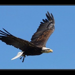 .. a hele, nějaký jídlo .. II