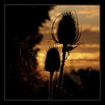 ..když začíná den..