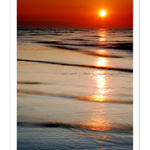 Bibione2008 (5)
