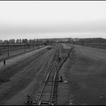 Birkenau